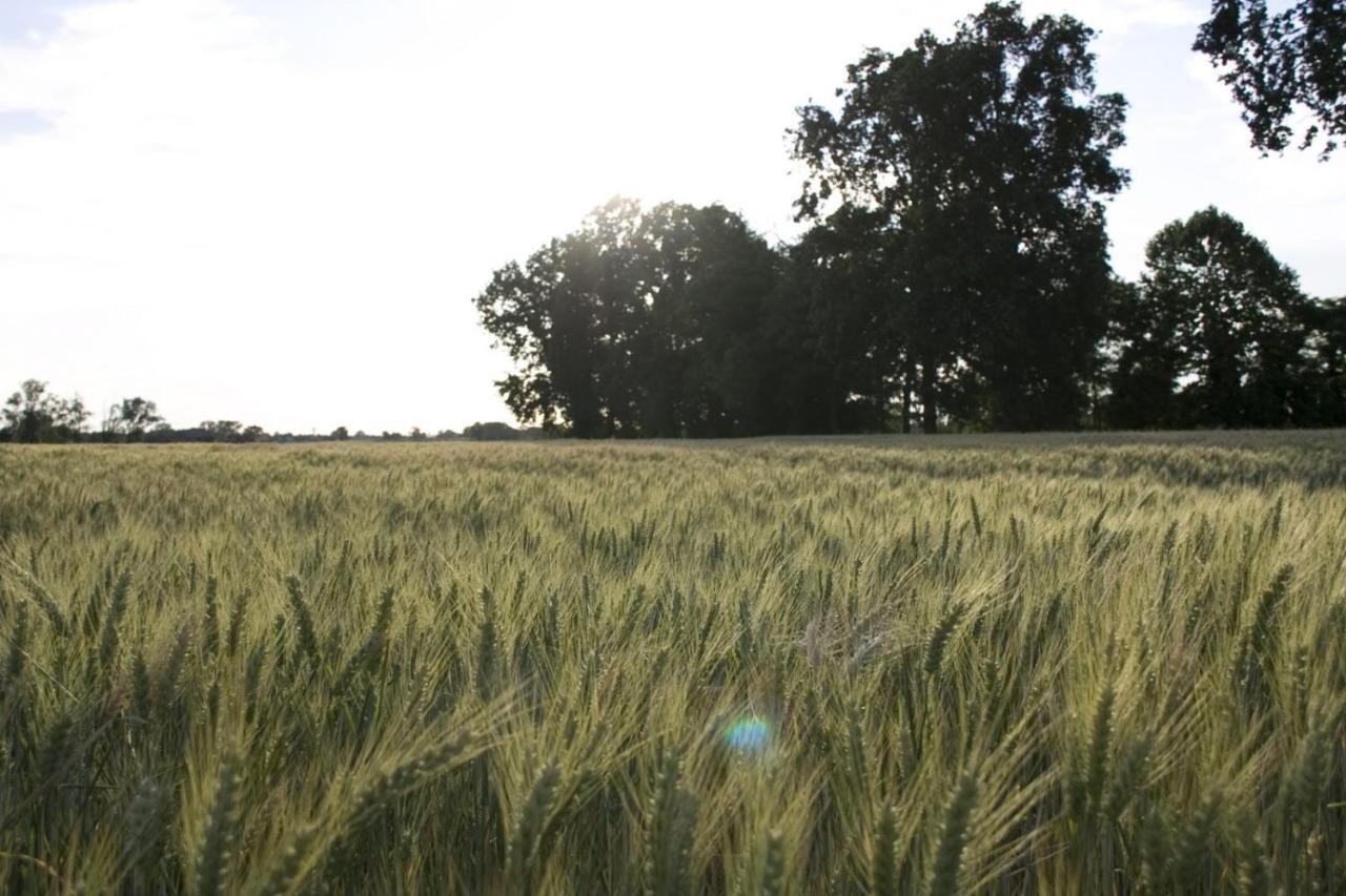 Agriturismo Cascina Farisengo Stagno Lombardo Eksteriør bilde